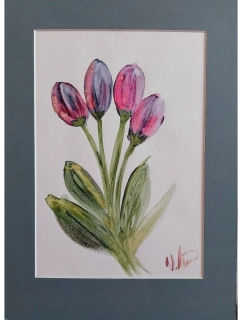 Tulipány