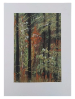 Procházka podzimním lesem